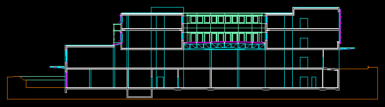 Longitudinal Section